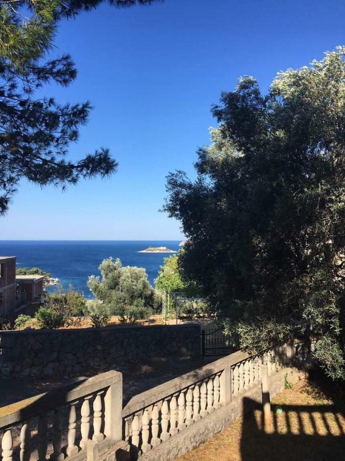 Apartman Novica Herceg Novi Extérieur photo